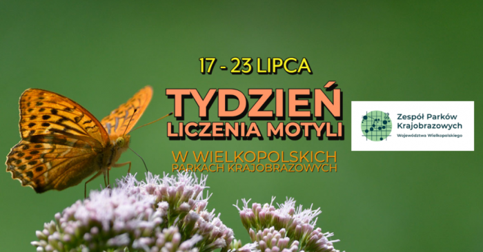 plakat - Tydzień Liczenia Motyli w wielkopolskich parkach krajobrazowych